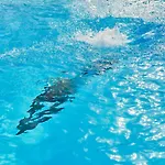 Mykonos Princess Szálloda