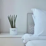 Mykonos Princess 5* Agios Stefanos Avliotes